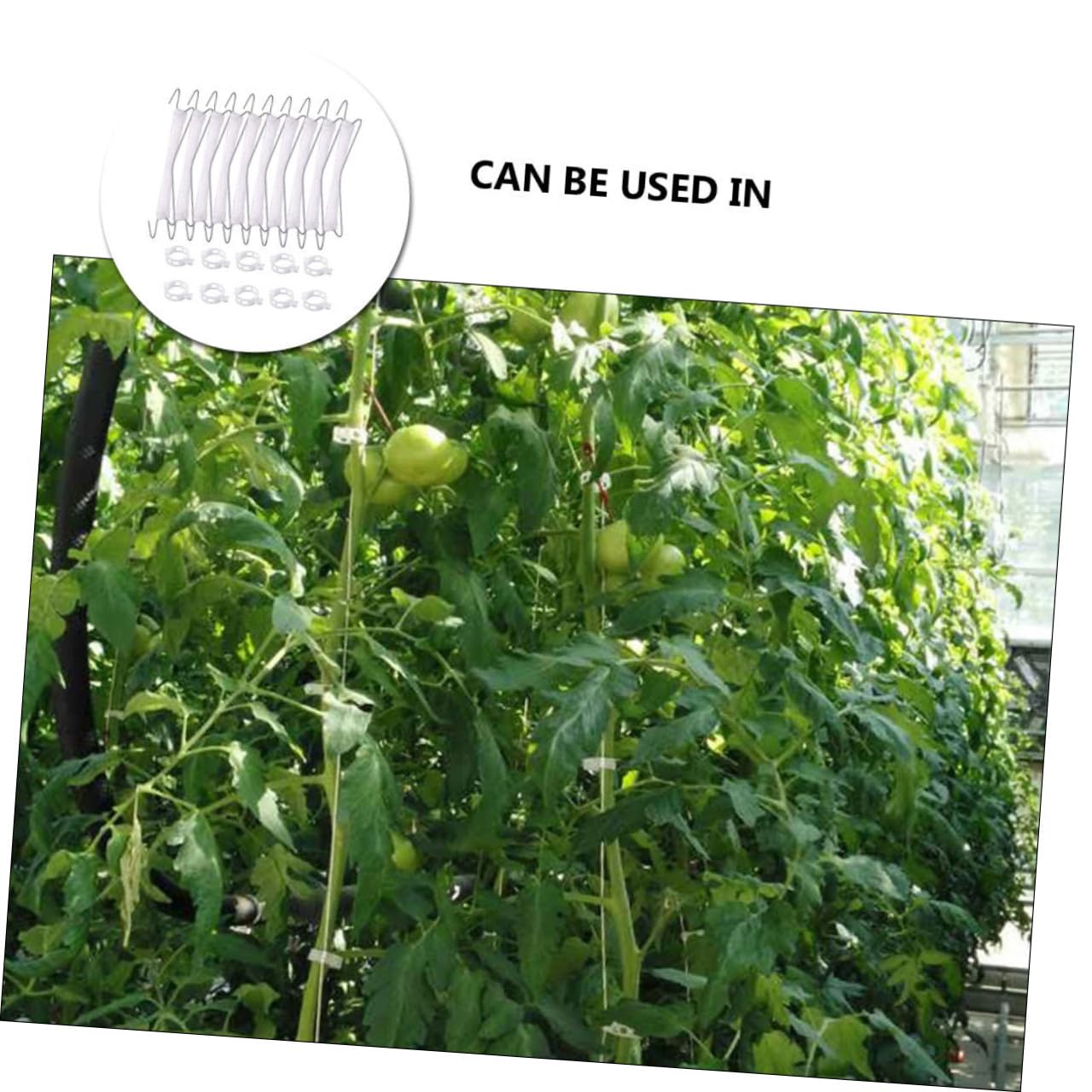 Kisangel 2sets Trellis Hooks per Pomodori e Piante Rampicanti da Ganci e Metri di Filo per Supporto Facile da Usare e Resistente Ottimizza La Crescita delle Piante Giardino