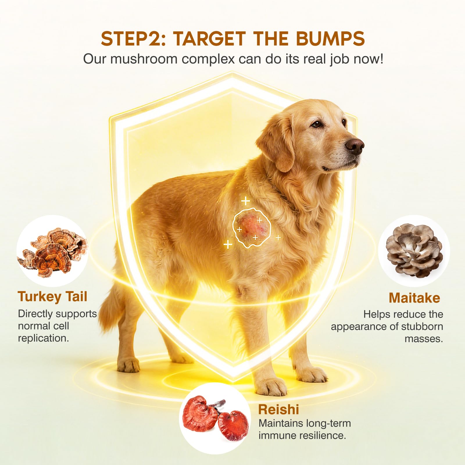 Turkey Tail Mushroom for Dogs,Senior Dog Supplement for Lumps, Bumps & Lipoma,Soft Chews with Reishi, Maitake, Turmeric & Astragalus,Supports Immune Health,Natural Chicken Flavor, 120 Count — Amazon image 4