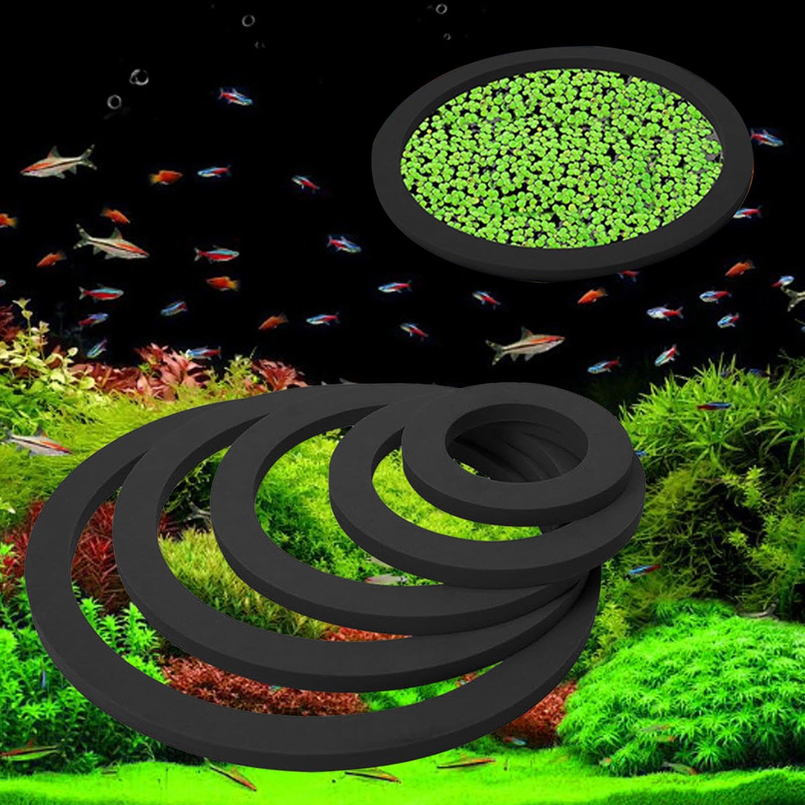 Aquarium Floating Plant Rings, Keep Food Plants in Place, 5 Sizes, Black