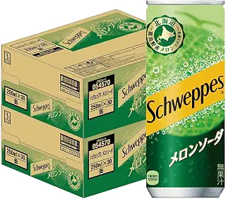 コカ・コーラ シュウェップス メロンソーダ 250ml×2ケース/60本