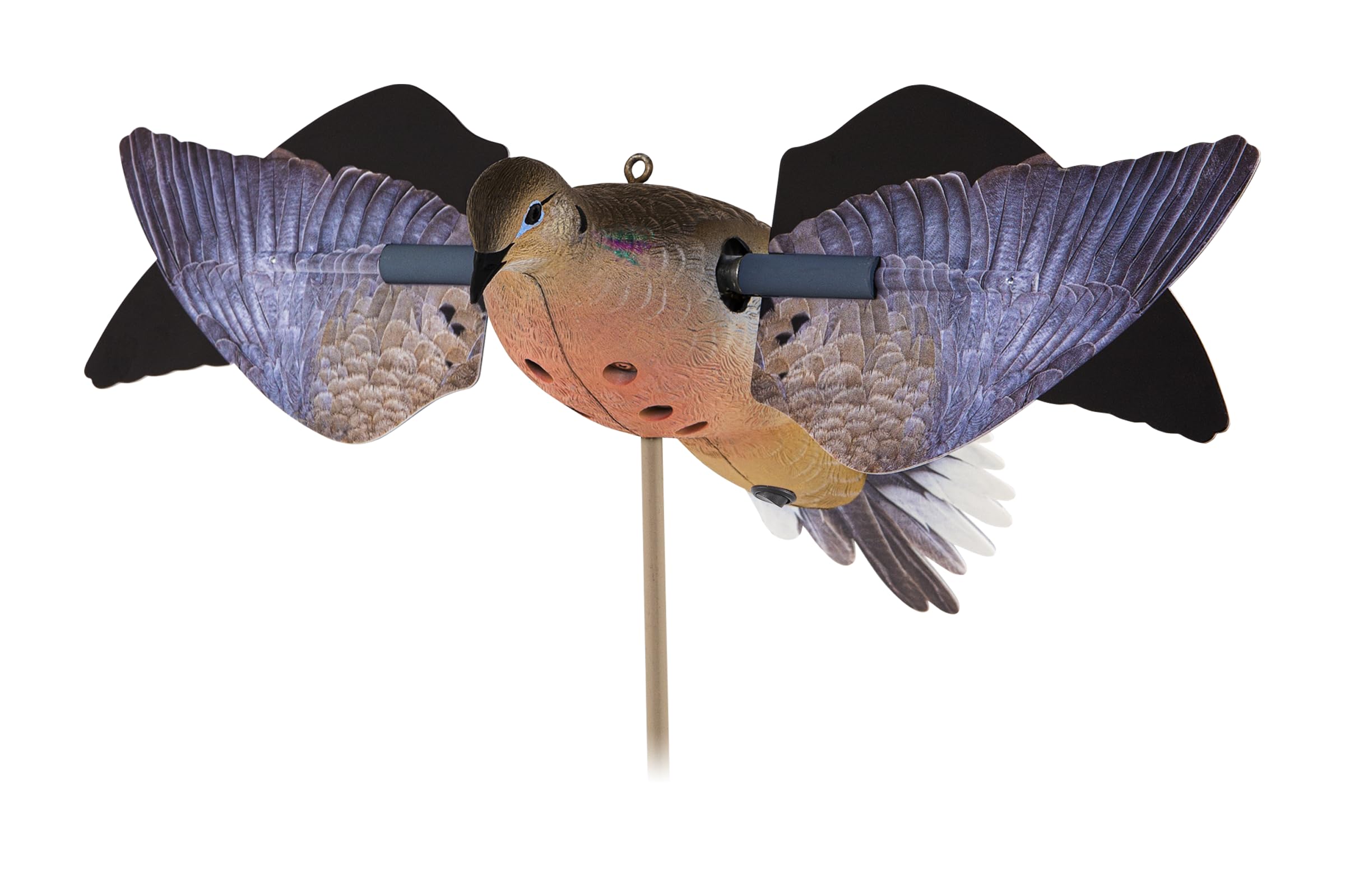 dove  Amazon.com : Avian-X PowerFlight Spinning Wing Dove Life-Size
