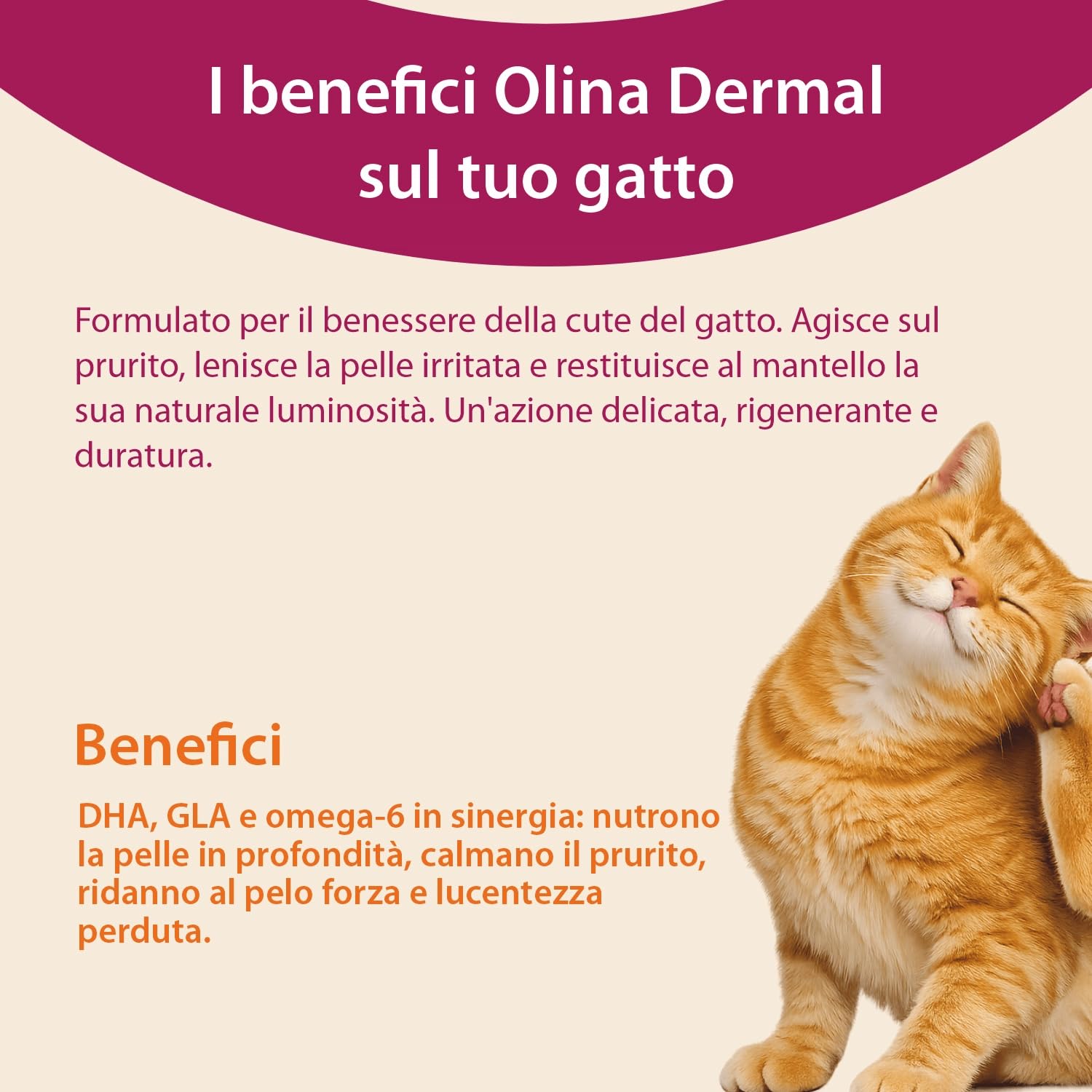 Olina Dermal Gatto - Integratore naturale da spruzzare direttamente sul cibo secco o umido, nutre la pelle e riduce le irritazioni, Calma il prurito, ridona lucentezza - ml 150 Spray