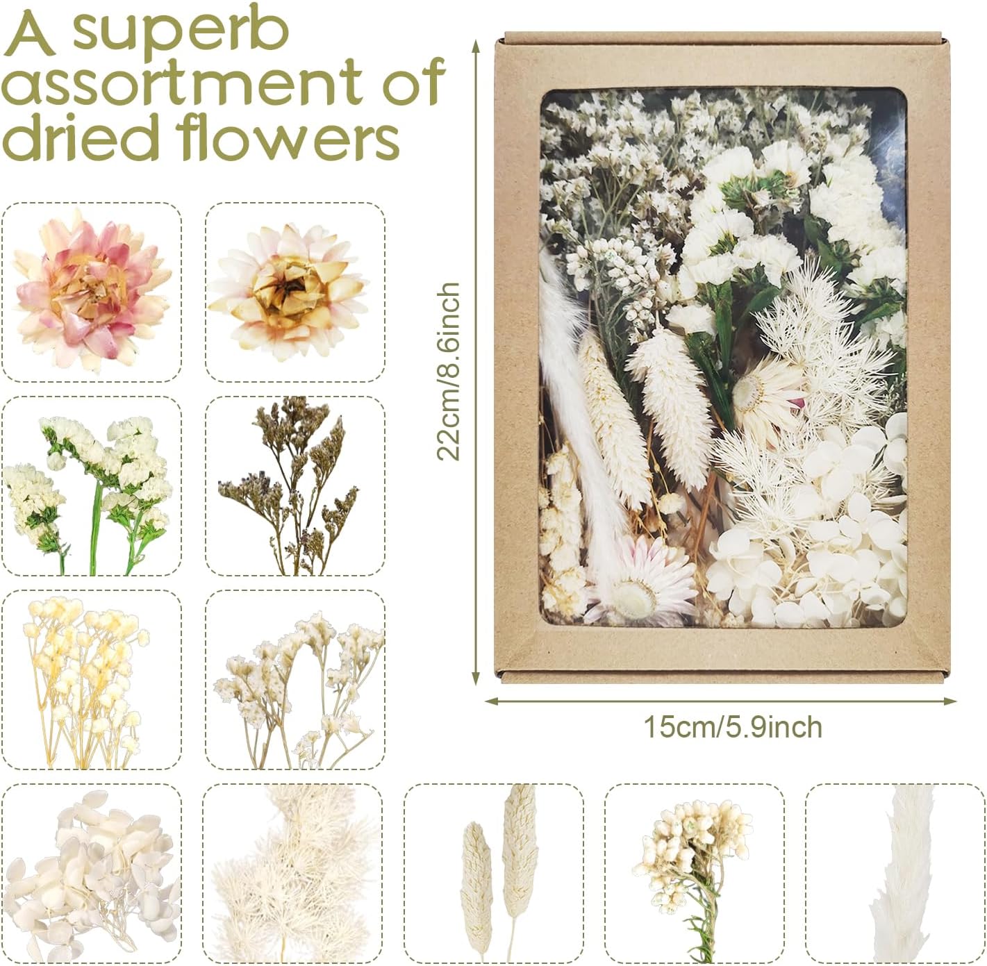 Szárított virágok részlet nézet