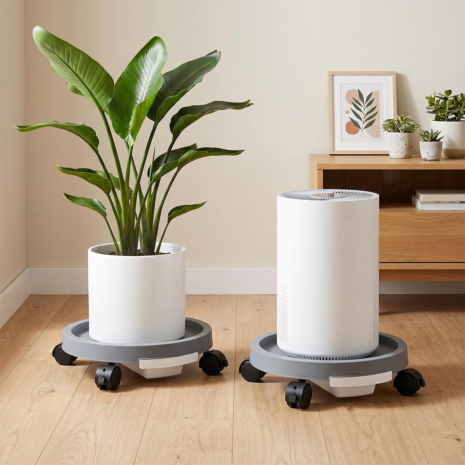 Covzoe Set of 3 Plant Caddy with Wheels and Drainage Tray, 11 Inch Round Rolling Flower Pot Mover, Plant Stand Dolly Pot Base for Indoor Outdoor, Gray