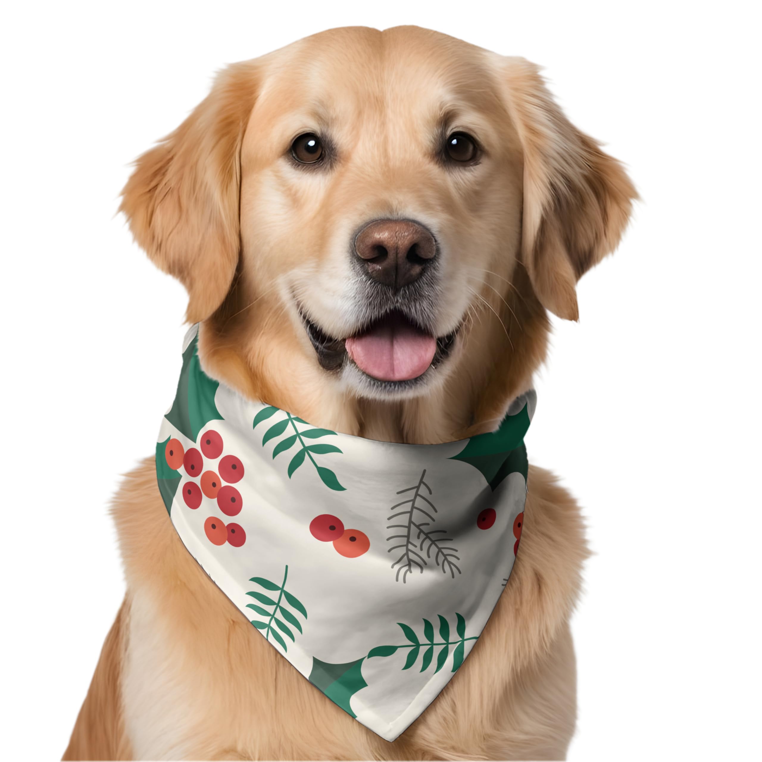 See full amazon price history chart for W Brings Christmas Tree Dog Bandana | This Stunning Gorgeous Design Dog Bandana Scarf is Perfect Styling Accessory for Dogs Large, Medium & Small. One Size Fits All. W Brings Christmas Tree Dog Bandana | This Stunning Gorgeous Design Dog Bandana Scarf is Perfect Styling Accessory for Dogs Large, Medium & Small. One Size Fits All. (B0CPLKZ2XY) Amazon Price History, Amazon Price Tracker