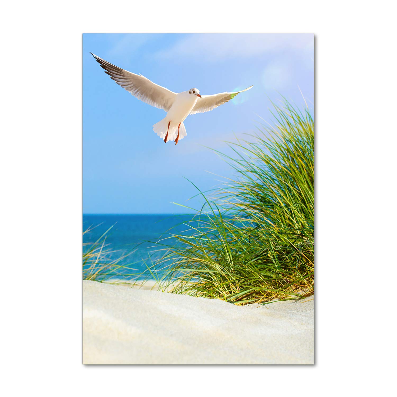 Image sur Verre 70x100 cm Tulup Tableau d'Art Paysage Mouette et Dunes