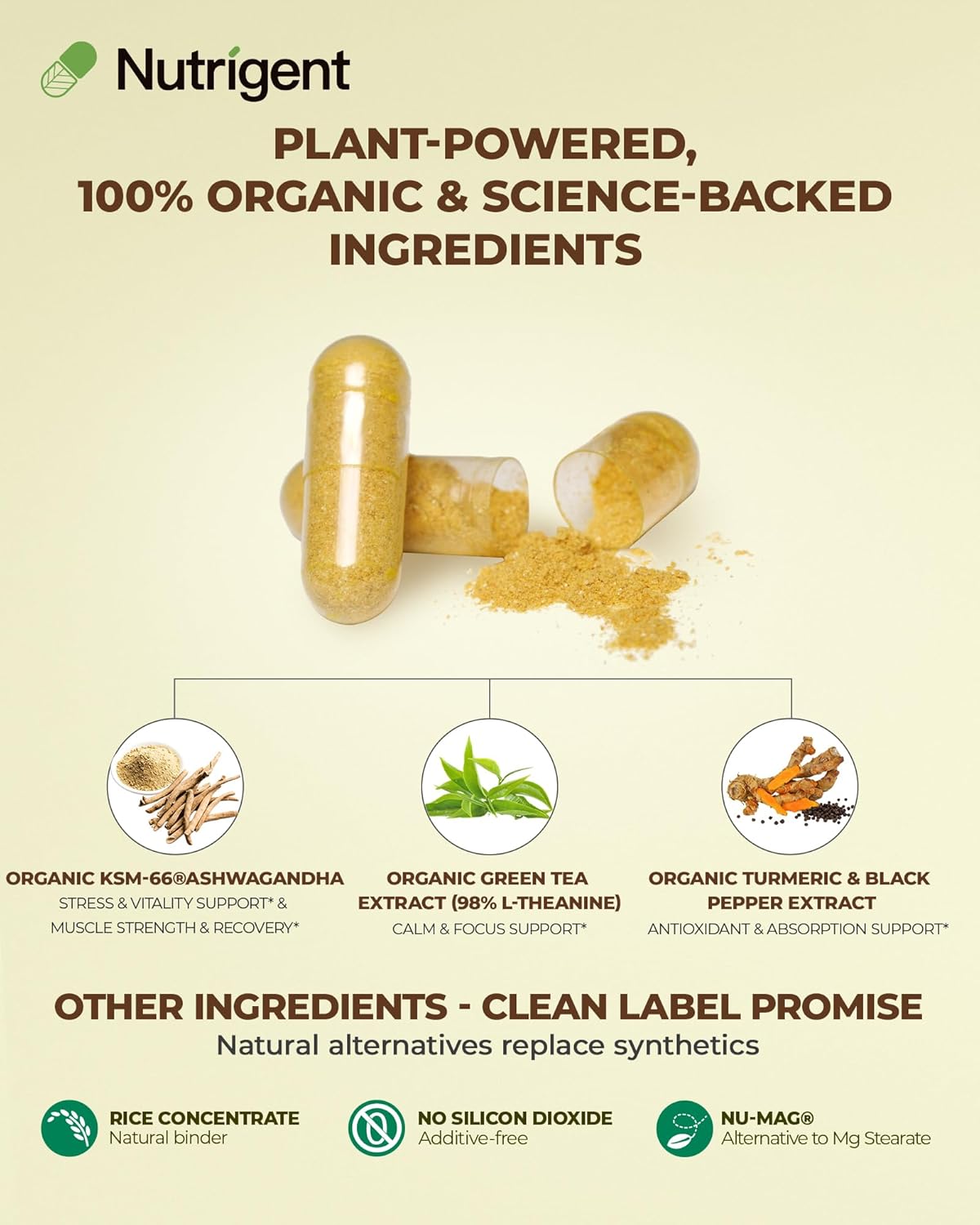 USDA Organic KSM-66 Ashwagandha 600mg with Organic L-Theanine, Turmeric & Black Pepper, Supports Calm, Focus, Relaxation & Overall Well-Being, 60 Capsules - Image 3