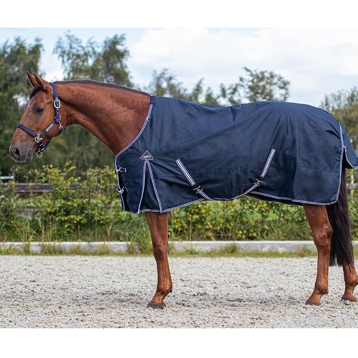 Coperta per cavalli in pile QHP Luxury
