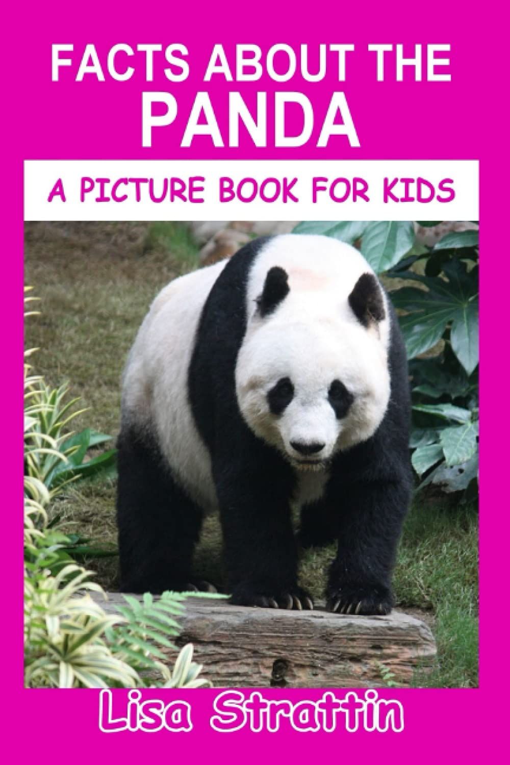 Facts About the Panda (A Picture Book For Kids)
