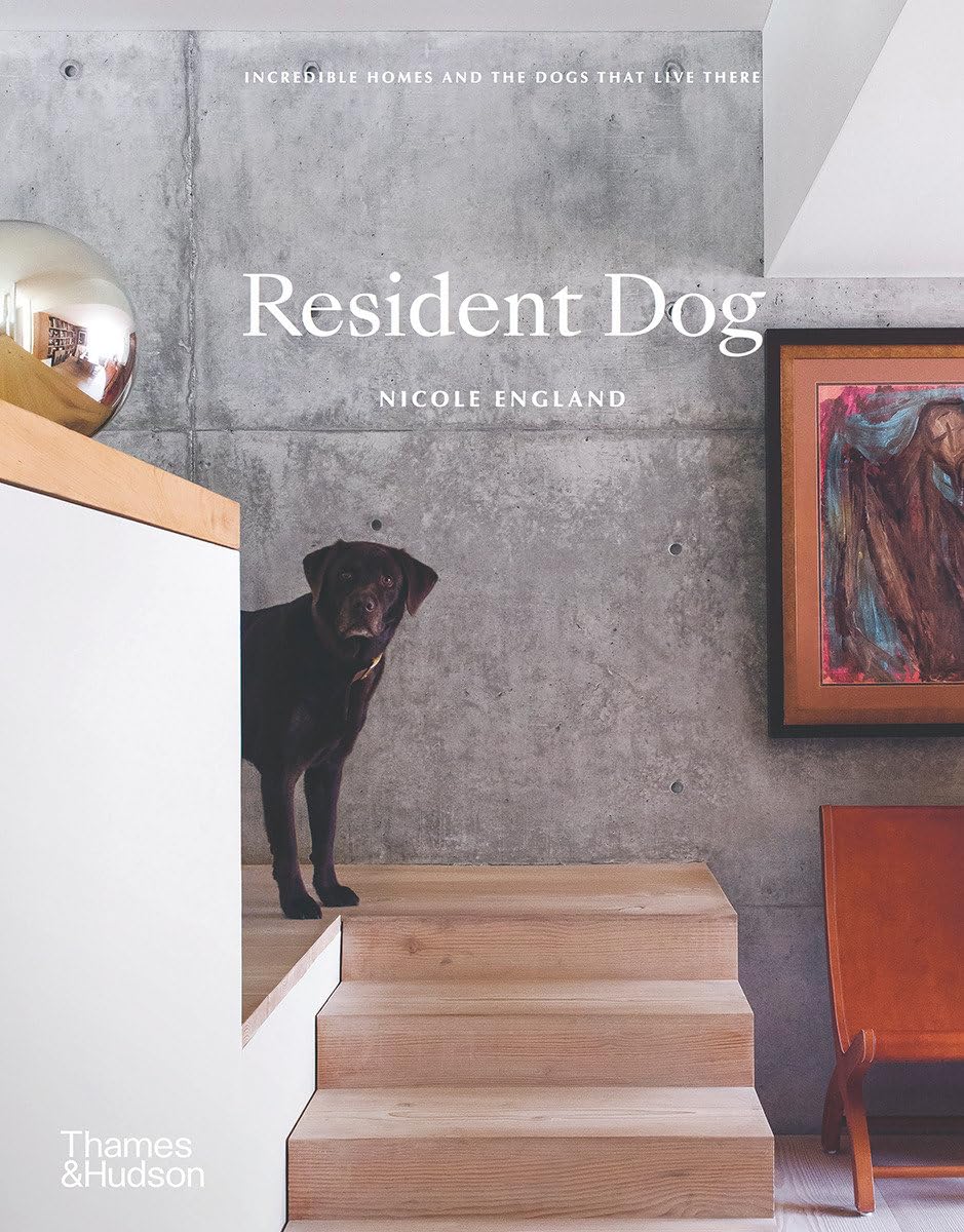 Resident Dog (Compact): Incredible Homes and the Dogs That Live There