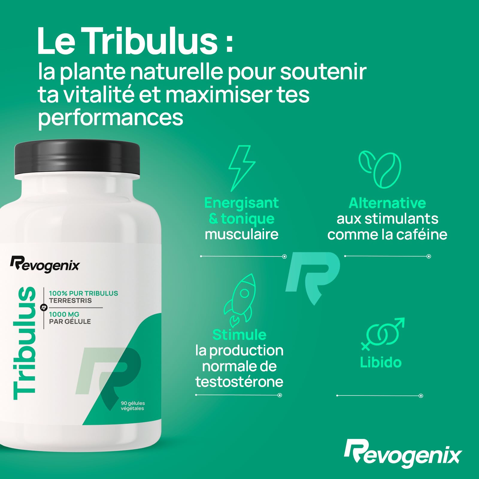 Tribulus Terrestris 1000 mg par Gélule | Titré en Saponines 10:1 | Energie & Endurance | Favorise la Croissance Musculaire, les Performances Sportives et la Libido | 90 Gélules Vegan | Revogenix