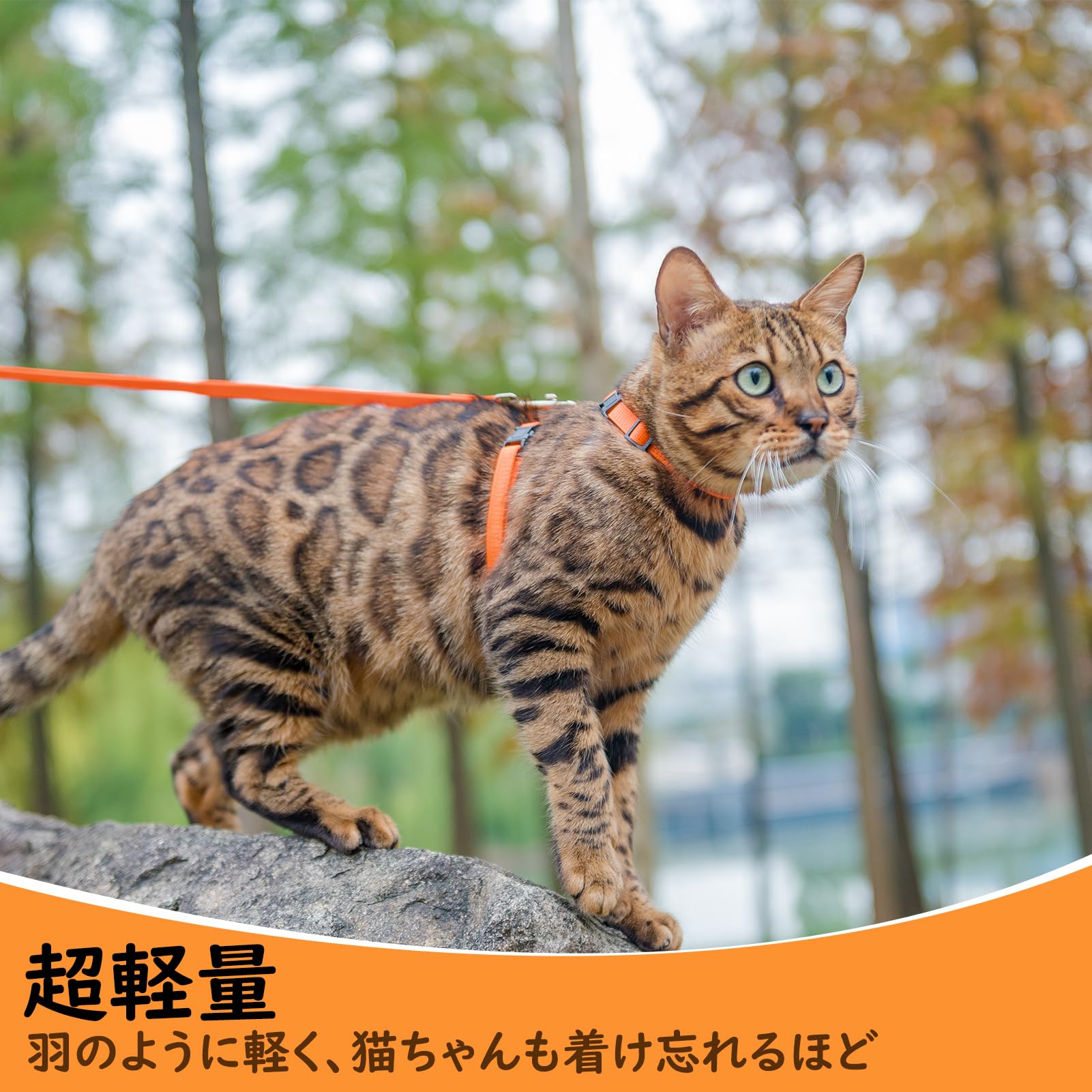 Amazon | PUPTECK 猫 ハーネス リードセット 猫用ハーネス 猫牽引
