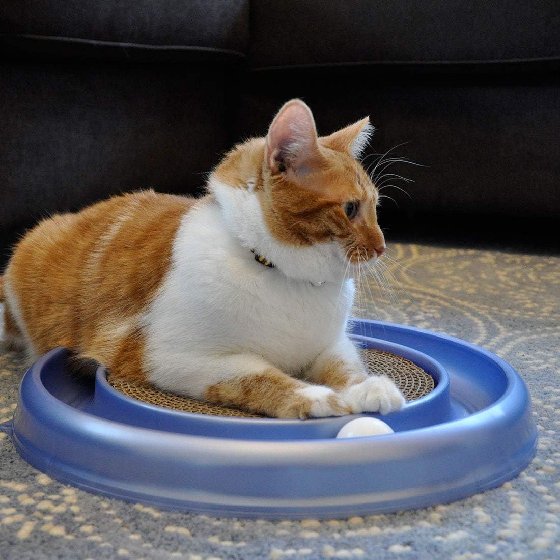 round cat scratcher refill