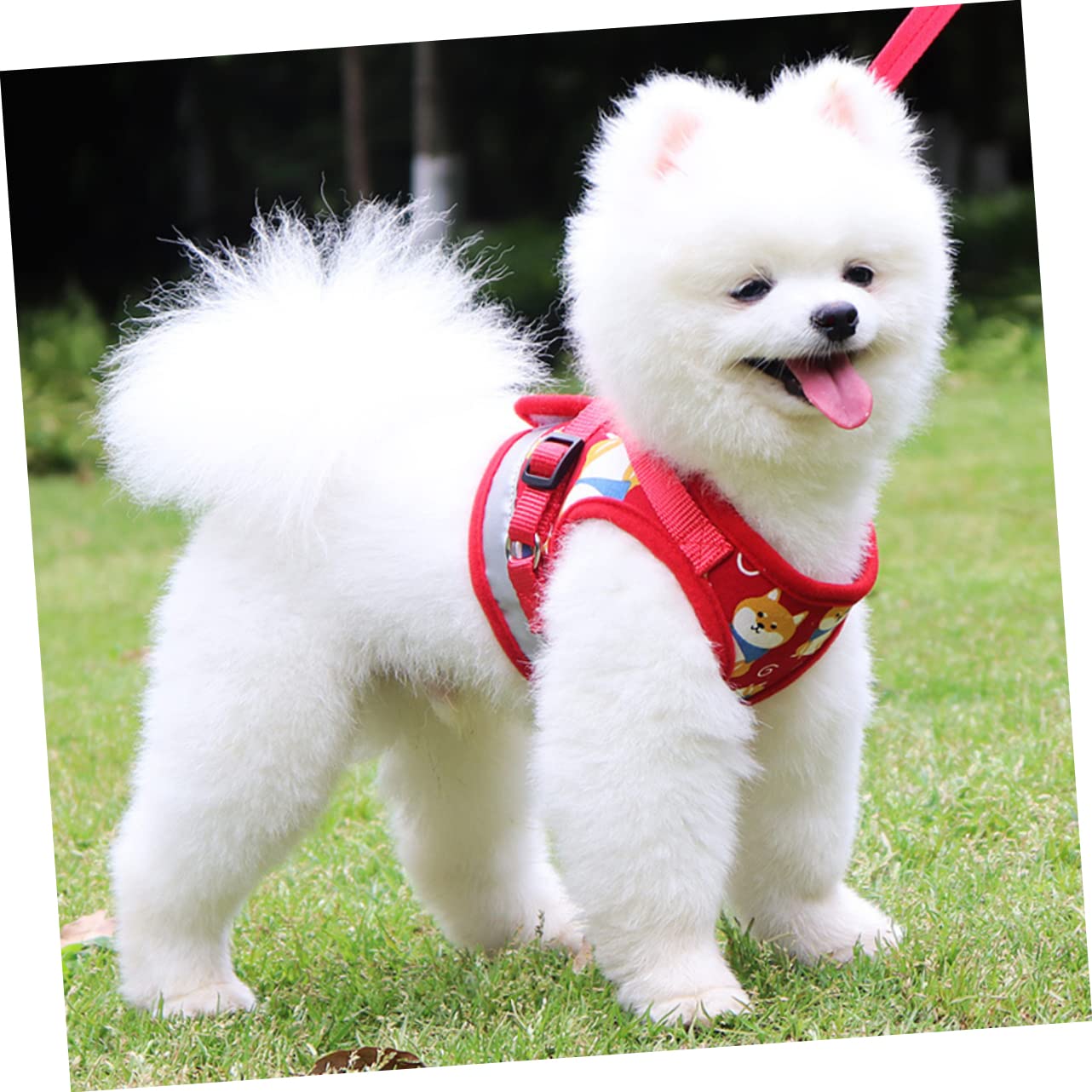 Didiseaon Chaleco con Diseño De Dibujos Animados para Perros Pequeños 3 Unidades Correa De Cómoda Suministros para Mascotas Correa De Tracción para Perros