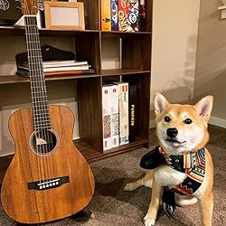 Customer Image, click to open customer review