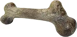 Pet Qwerks Dinossauro BarkBone – Osso de cachorro de nylon para mastigadores agressivos – Sabor de bacon – 16,5 cm