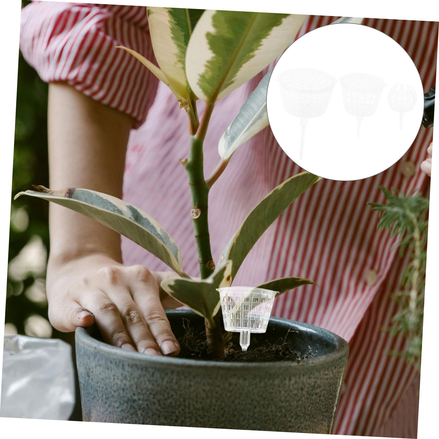 SOIMISS 15 Pièces Boîte à Engrais Plastique pour Bonsai Outils de Fertilisation Pratiques Réutilisables pour Plantes Fleurs
