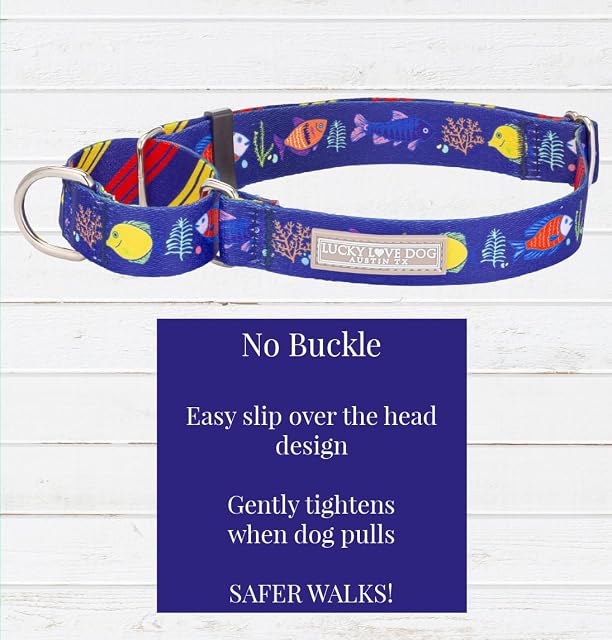 Foto 2 de 6 de Lucky Love Dog Collar de martingala, color azul, antideslizantes, para perros pequeños