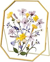 REDHUGO Handmade Brass Octagon Pressed Flower Frame - Gold Floating Double Glass Tabletop Display, 8x10 Inches