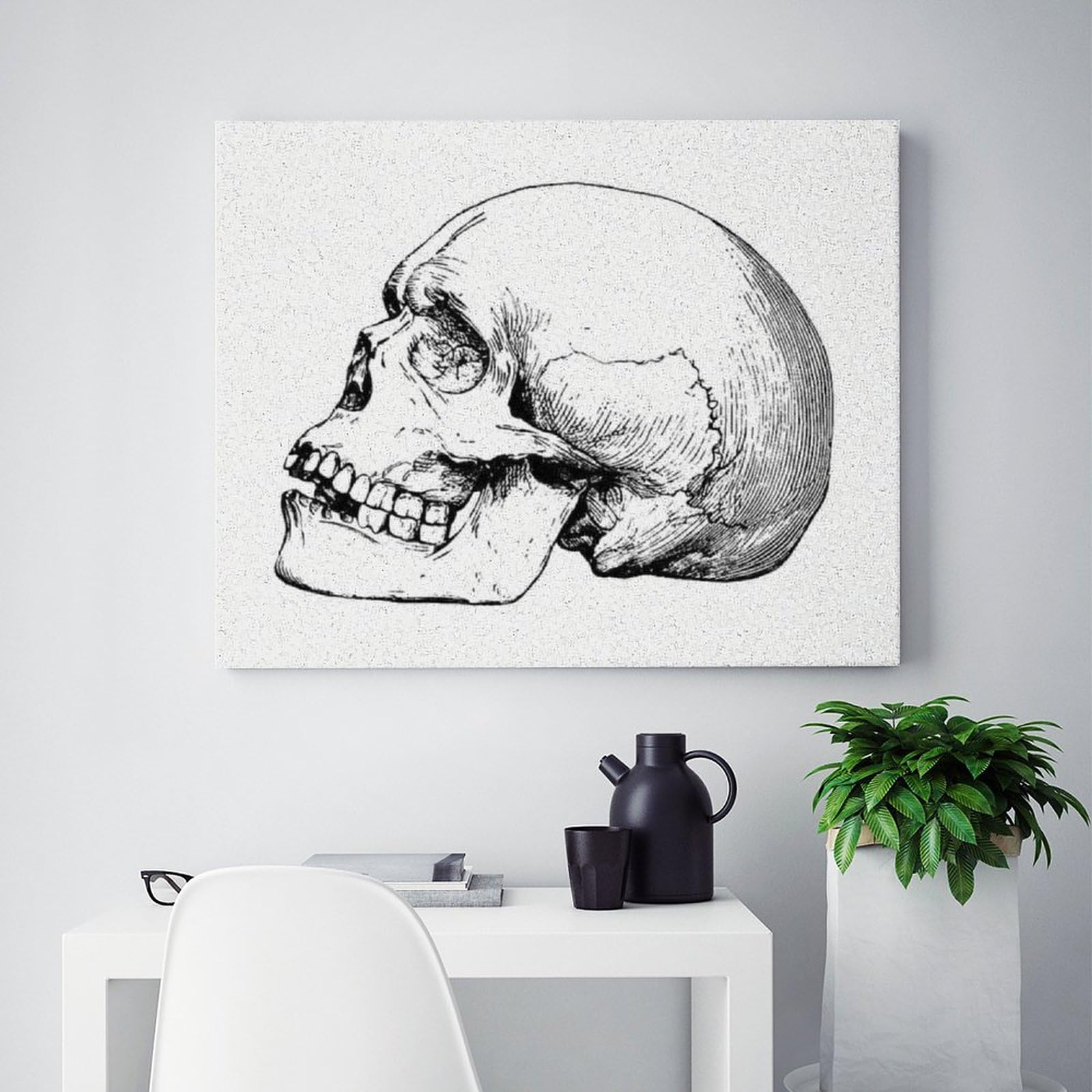 Amazon | 人間の頭蓋骨 数字キットによる絵画 数字油絵 シンプルなペン