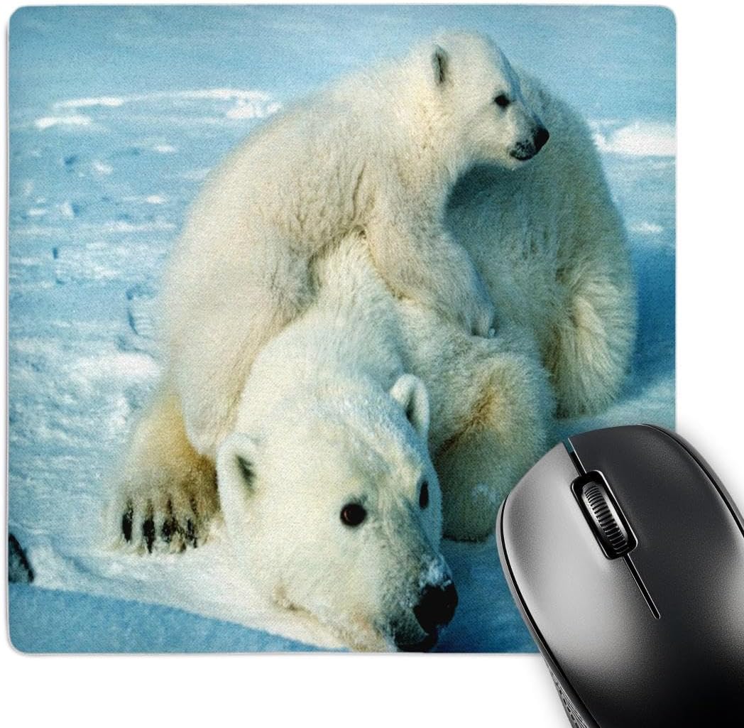 3dRose LLC 8 x 8 x 0.25 Inches Mouse Pad, Playful Polar Bear N Her Mom Jpg (mp_98619_1)