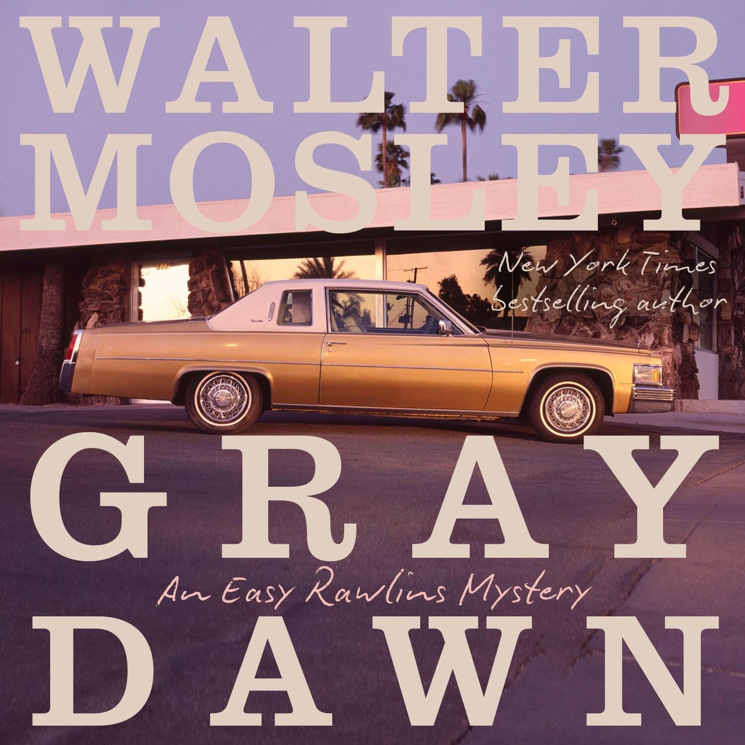 Cover art for Gray Dawn