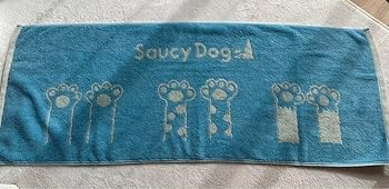 Saucy Dogグッズセット  バンドタオル、ウエストバッグ、ラバーバンド Saucy Dog on X: 