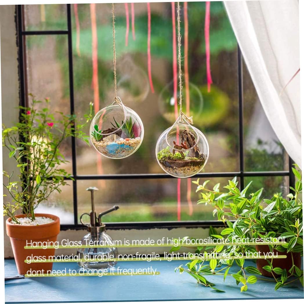 Glass Hanging Planter, 2pcs 10cm Hanging Glass Terrarium Succulents Planter, Globe Air Fern Plants Holder Vase Hanger with Big Opening for Home Decoration : Patio, Lawn & Garden