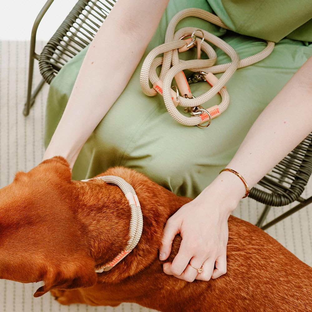 Hunter Hunter HUNTER Guinzaglio Regolabile Malia, Colore Mora/marrone Scuro, Rugiada Morbida E Pelle Resistente, Regolabile In 3 Posizioni, Leggero, Resistente Guinzaglio Malia Pelle Corda 3 Posizioni 200 Cm Germania