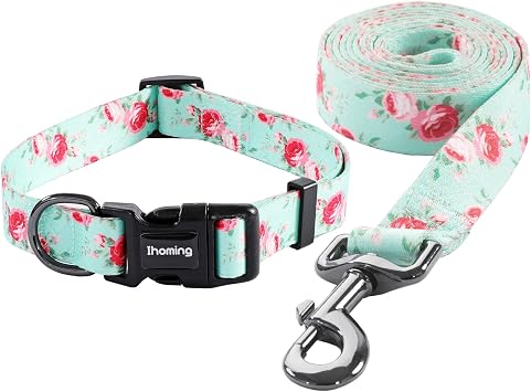 Ihoming Dog Collar and Leash Set for Small Dogs & Cats, Up to 20 Lbs