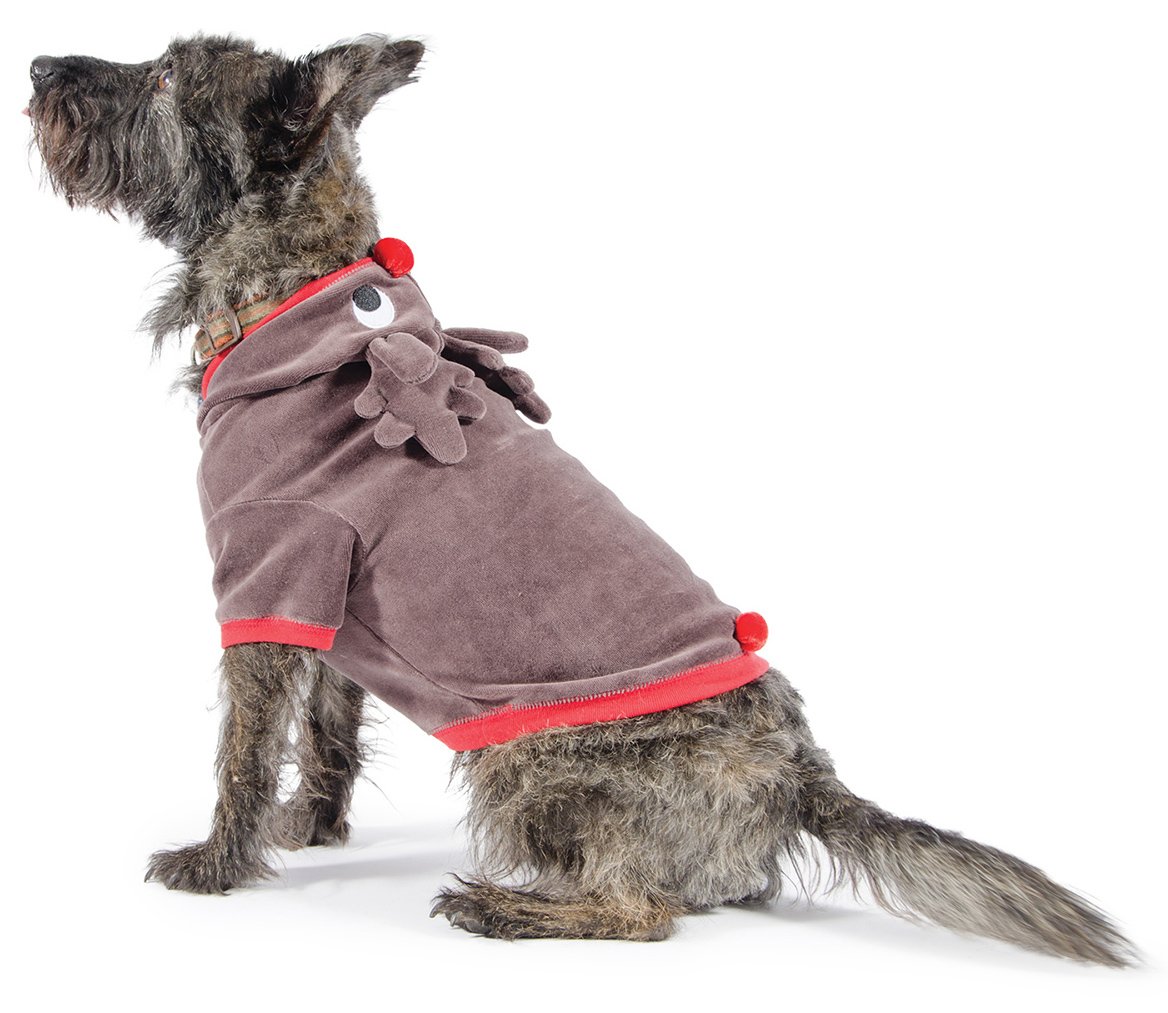 Ancol Cute Reindeer Christmas Suit Outfit for Dogs Red and Brown Soft Snuggly Material with Antlers and Pom Pom Nose