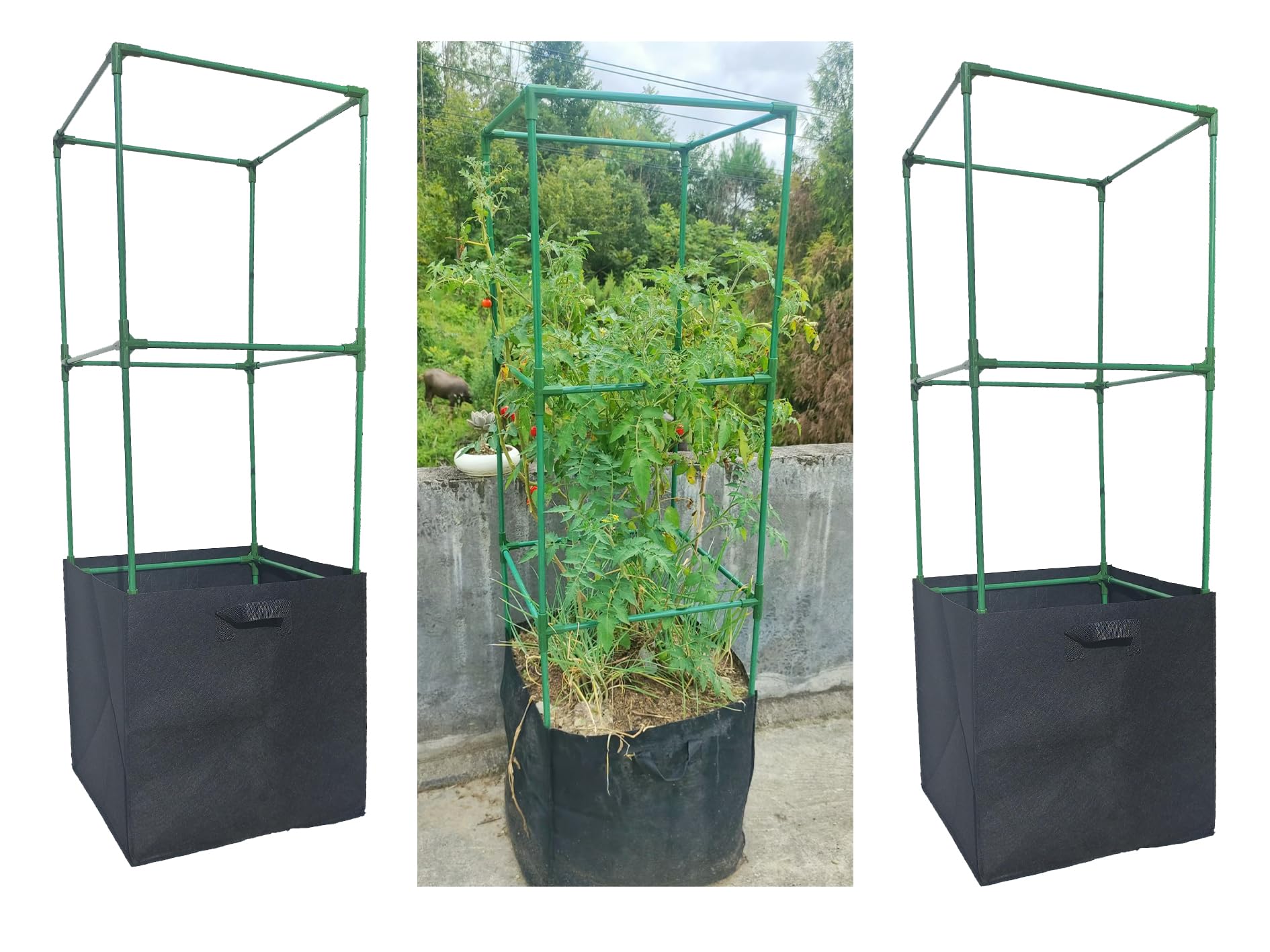 Tomato Cages, 3 Pack, 45 Inches Tall, Garden (3), Green