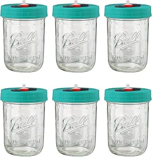 Mushroom Liquid Culture Jar With Sealing Injection Port & Filter Port Mycology Supplies Mushroom Inoculation, Cultivation, Growing Kit 500 ML, 6PCS|PACK