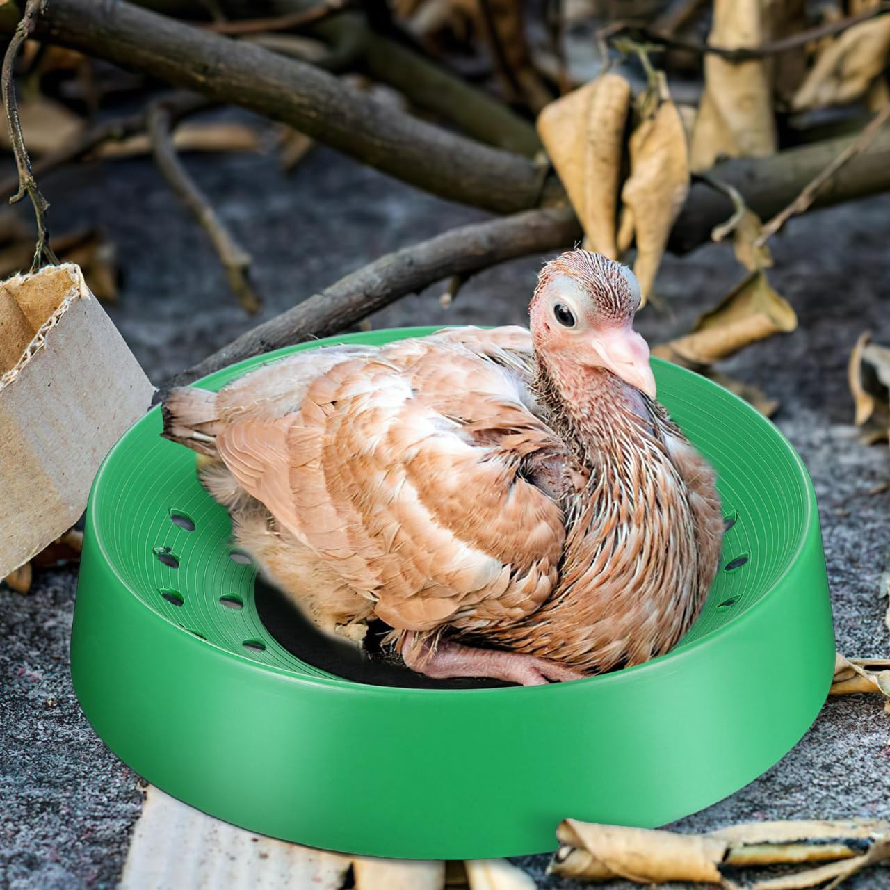 Happyyami 10 Uds. de plástico nido de pájaros palomas nido de palomas caja de incubación de cría de huevos de cría de palomas palomas pájaros pequeños mascotas