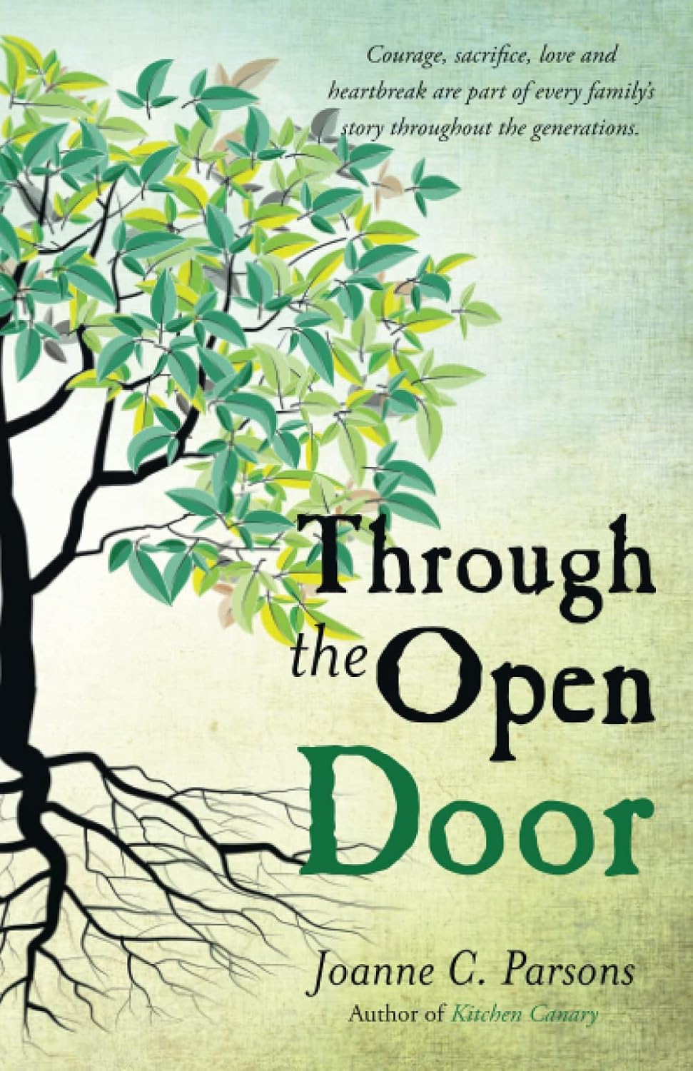 Through the Open Door Parsons, Joanne C. 9781642372373 Books