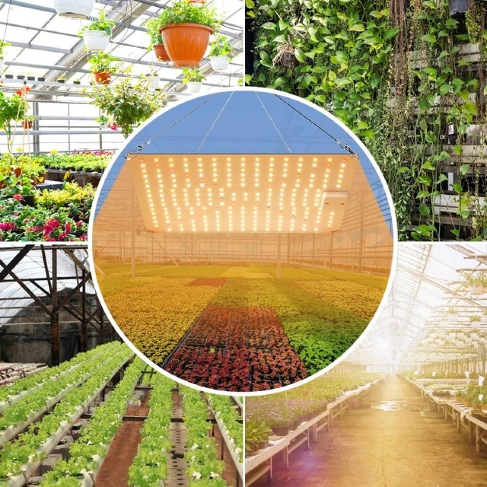 Lumière de remplissage plantes à spectre complet, lumière croissance planche, plantation végétales, Refroidissement silencieux