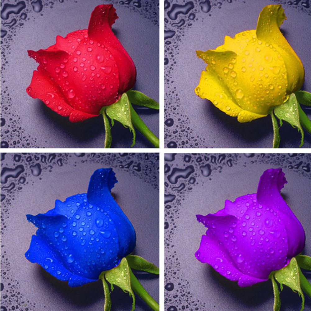 Kit Diamond Painting 5D, Rosa Viola, 30x30 Cm, Tela Con Strass, Completo Di Strumenti, Per Adulti E Principianti