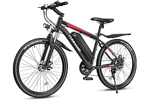 Rich Bit Adult 750w 48v Electric Mountain Bike