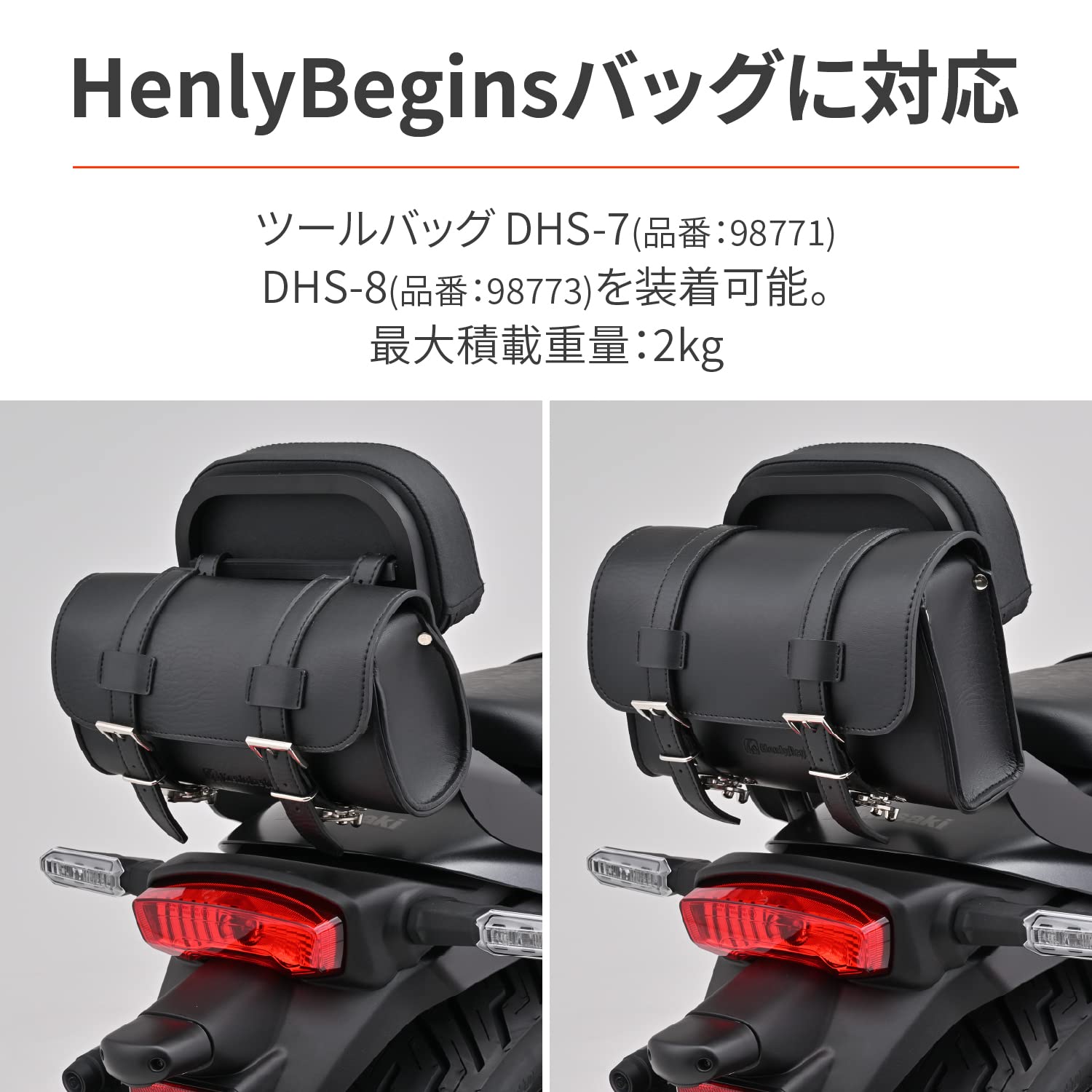 Amazon | デイトナ(Daytona) エリミネーター/SE(24)専用 バックレスト 