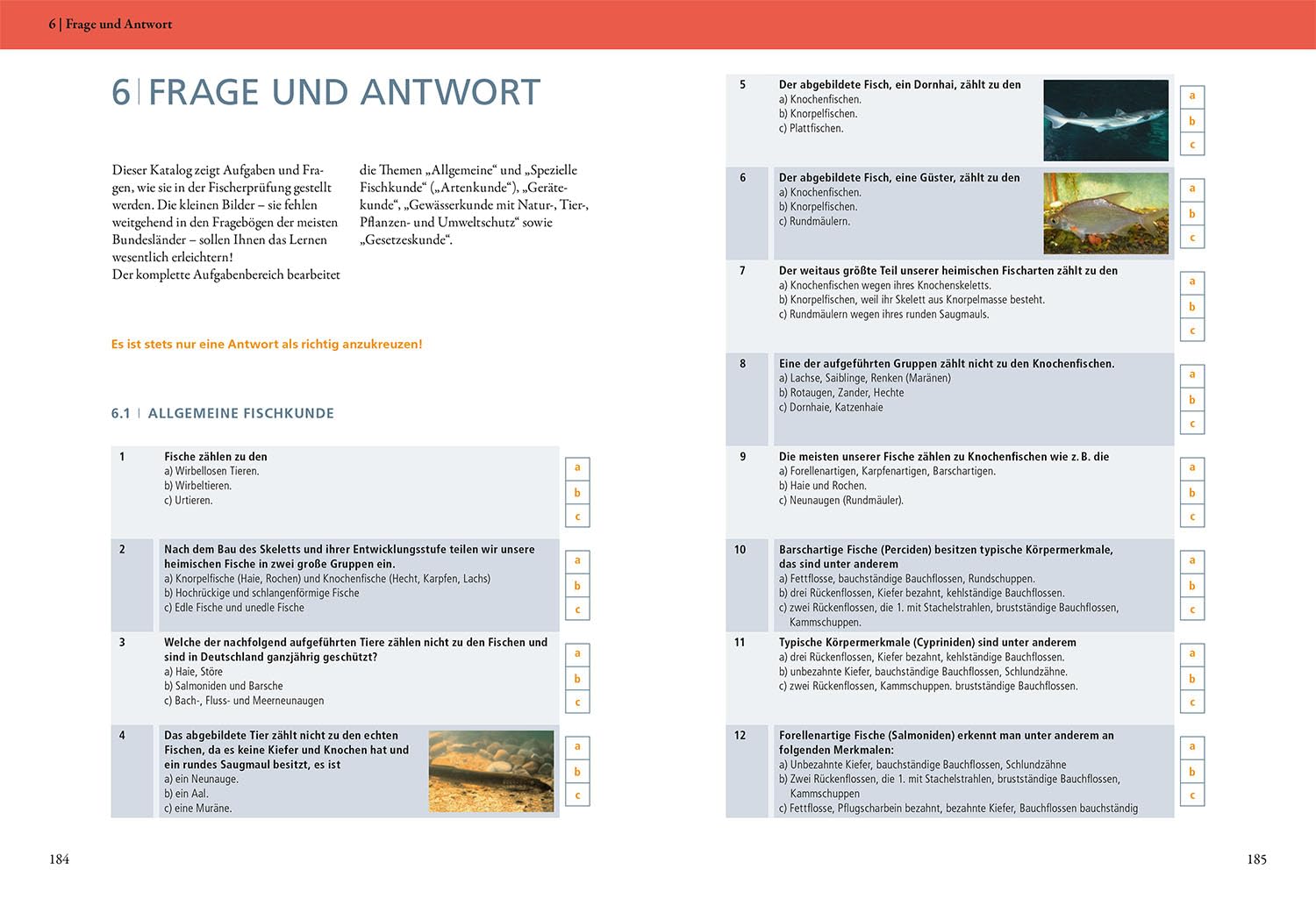 Die Fischerprüfung: Erfolg garantiert - Mit Online-Training und über 1.000 Prüfungsfragen Alle Lehrgangs- und Prüfungsthemen perfekt erklärt