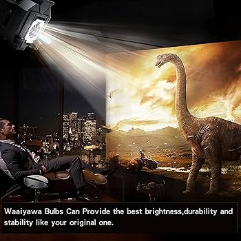 Amazon.com: for Canon LV-X320 Projector Lamp Assembly with