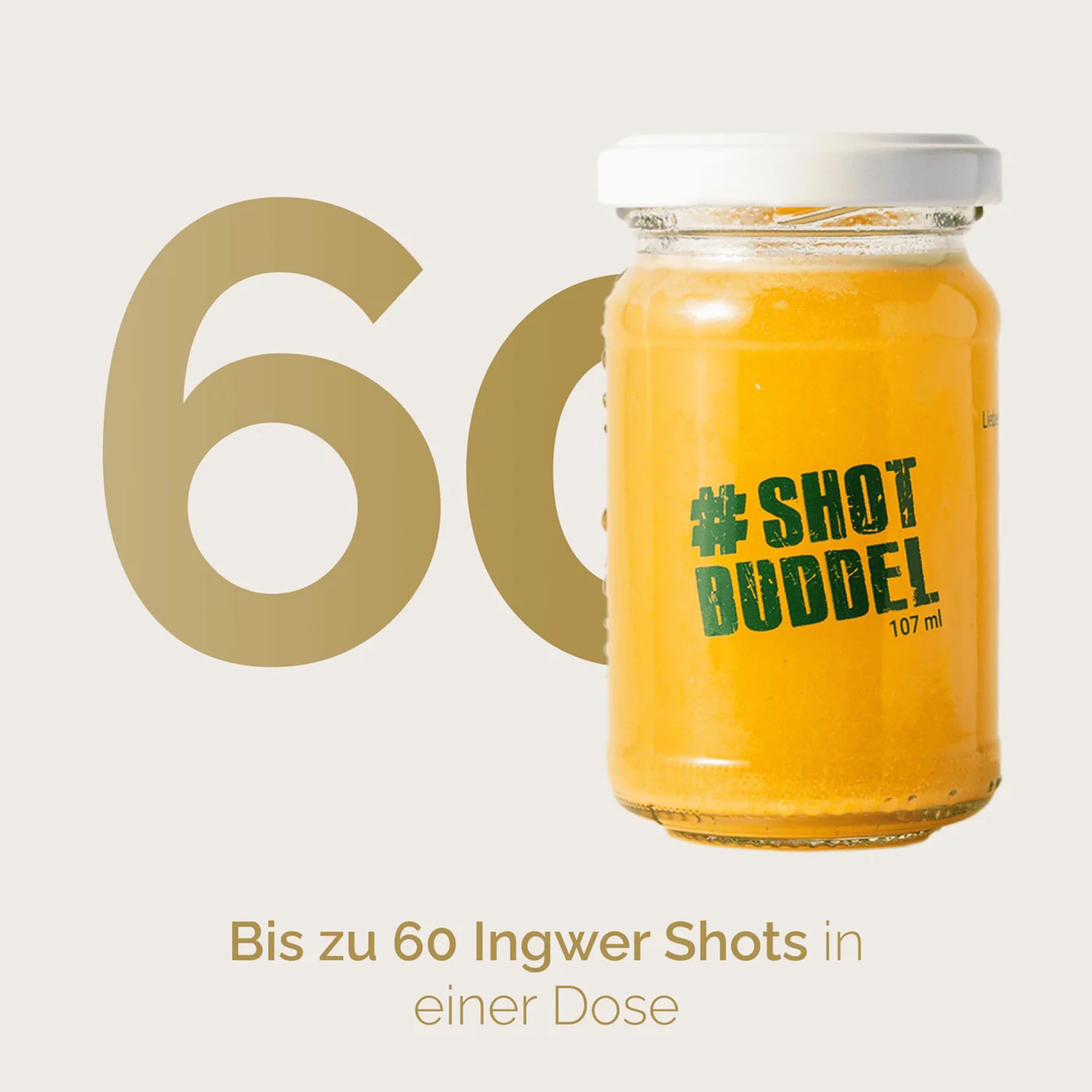 Hansegrün - Bio Ingwer Kurkuma Shots (60 Stk.) - Veganes Superfood-Pulver für Immungsystem¹ & Energiestoffwechsel² - Kurkuma, Zitronenschale & Acerola - 100% echte Zutaten zur täglichen Zubereitung