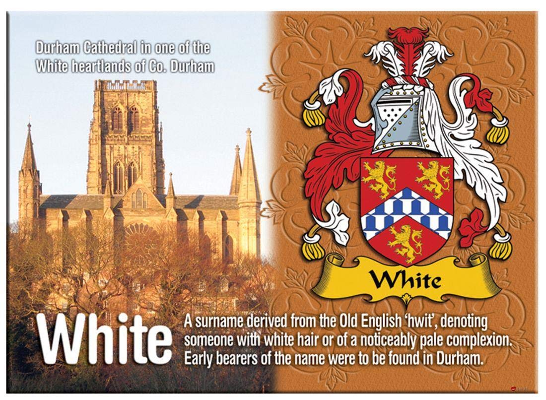 I Luv Ltd White English Ancestry Family Name Souvenir Metallic Picture Fridge Magnet