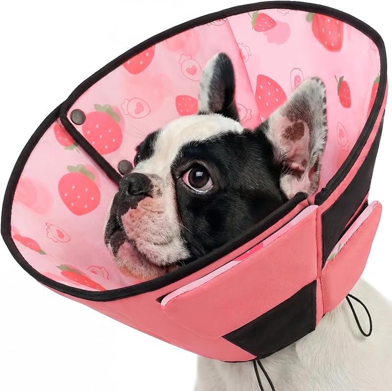 Colar Cone Macio para Cães Queenmore para Recuperação Pós-Cirúrgica Strawberry M