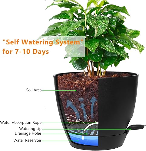 Miniatura 2 de Macetas de 8 pulgadas para interiores, paquete de 2 macetas grandes de riego automático, macetas de plástico con soportes de drenaje y platillos