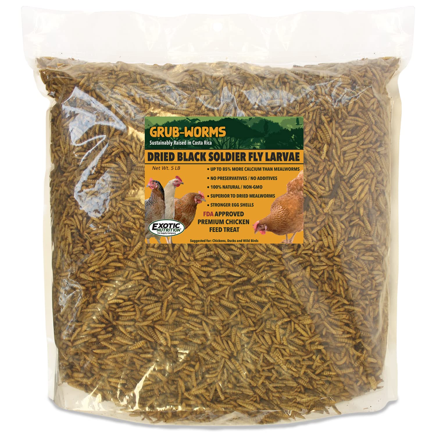 Buy Exotic tion 5 LB GrubWorms Chicken Feed Grown in Americas