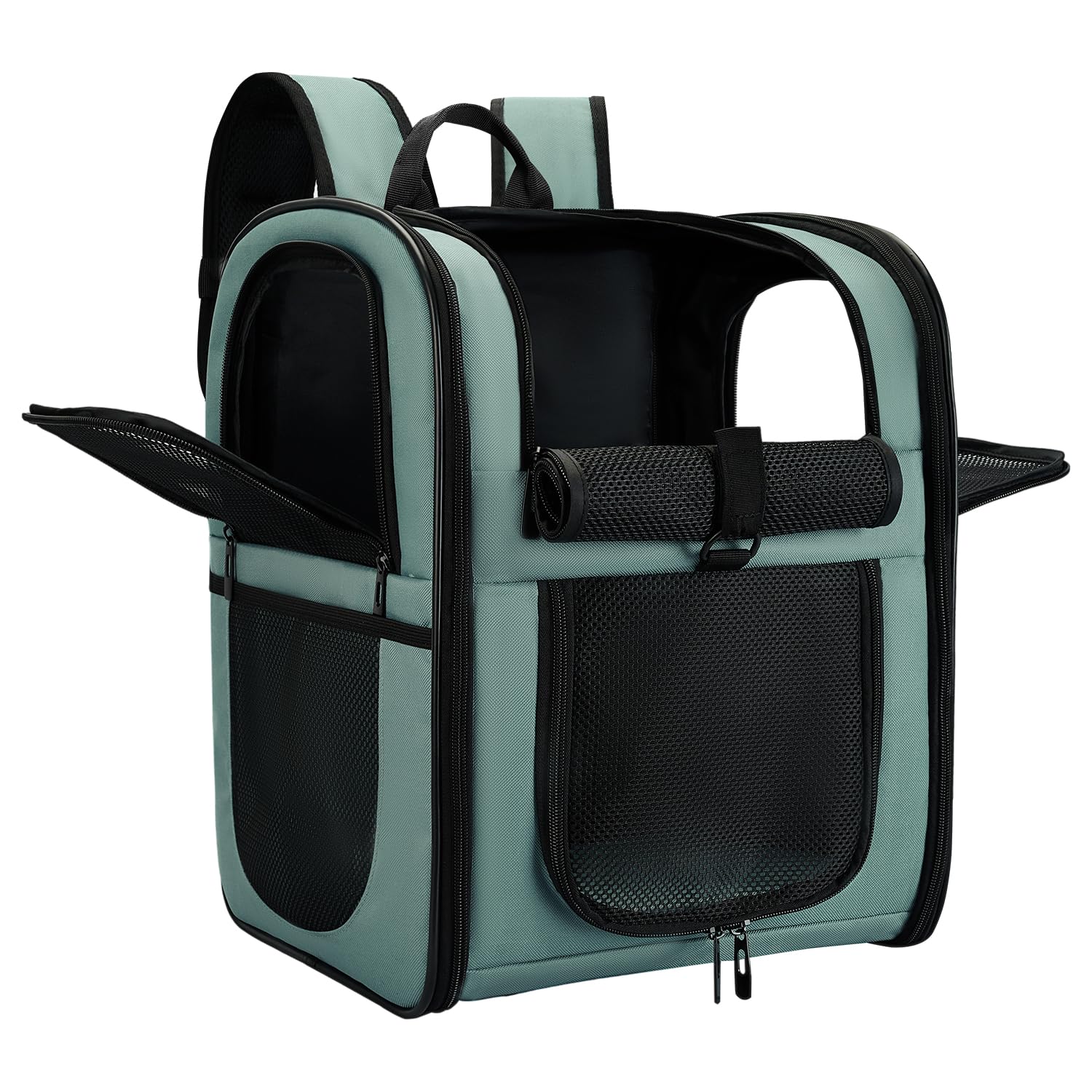 apollo walker Rucksack Blau