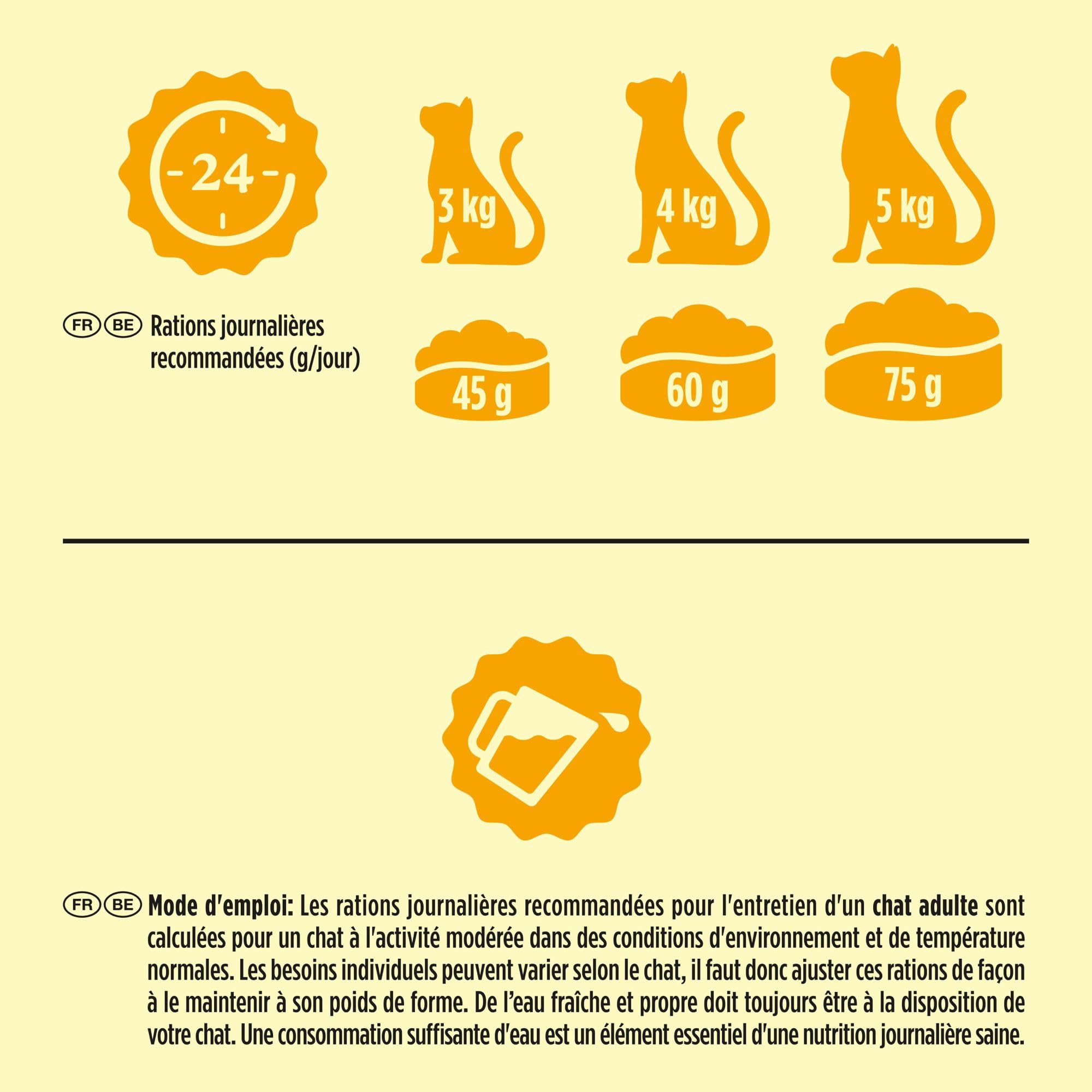 FRISKIES | Chat | Croquettes complètes pour Chats Adultes | Au Saumon et aux Légumes | Aliment Complet Riche en Vitamines et Minéraux | Sac | 1,5 KG