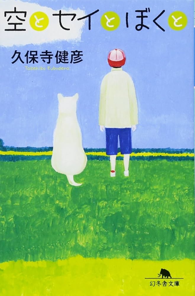 空とセイとぼくと (幻冬舎文庫): 9784344416772: Books - Amazon.ca