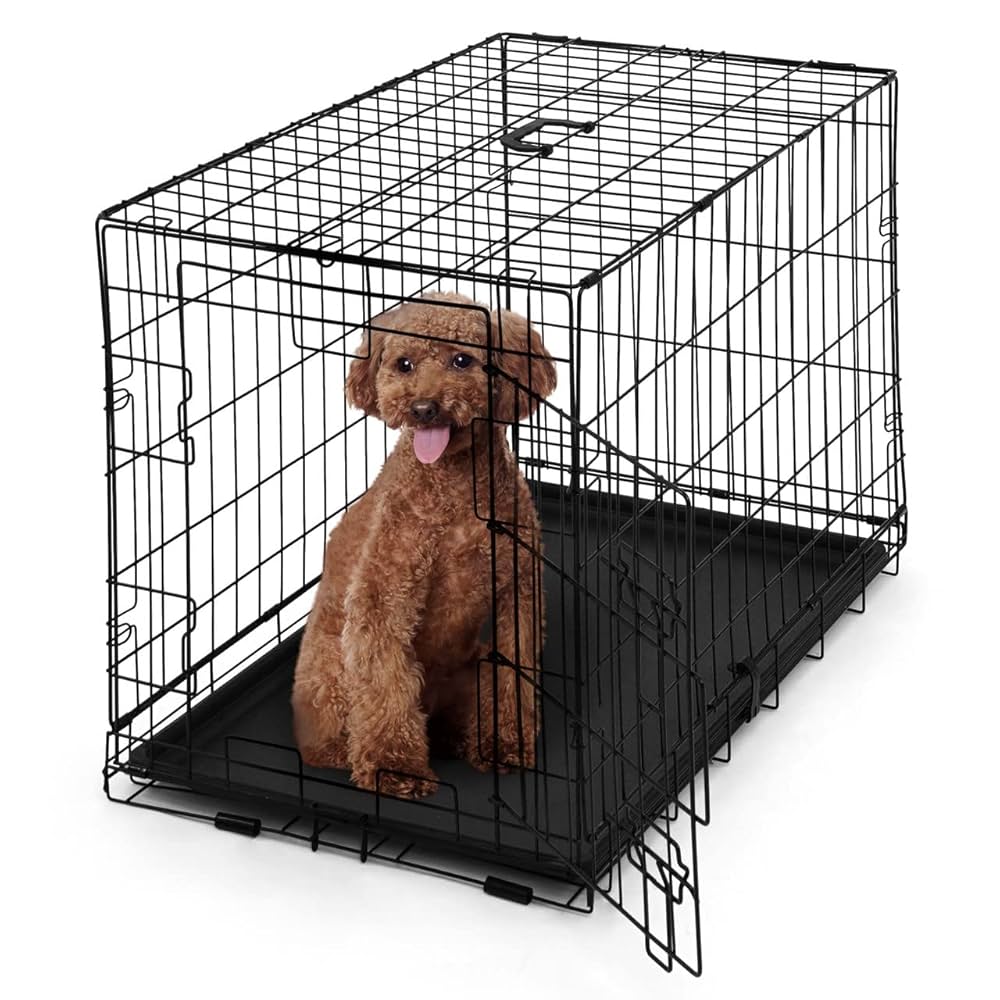 Amazon.com : BOWHAUS Foldable Dog Crate Wire Metal Dog